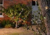 LUMIFY USB SOLAR FAIRY LIGHTS | LM100 image