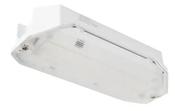 SAPPHIRE 4W EMERGENCY BULKHEAD IP65 WHITE C/W LEGE | RSI4L01 image