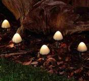 FOREST SOLAR MUSHROOM LIGHTS -SET OF 12 | SC2146 image