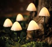 XL FORESTMUSHROOMS (6PK) | SC2402 image