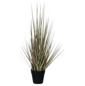 PURPLE GRASS IN POT 53CM | EDEL1005554