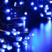 OUTDOOR LED 100 LIGHT 240V 10 MTR BLUE | LEDPLR100B image