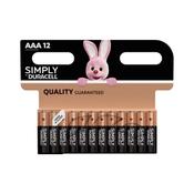DURACELL AAA 12 PK | S5939 image