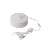 SWITCH CEILING 6 AMP 1 WAY | VX9001 image