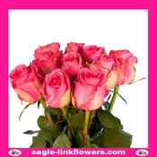 Altavista – Premium Roses - 40cm image