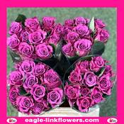 Ascot – Premium Roses - 40cm image