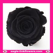 Dyed Roses Black - 50cm