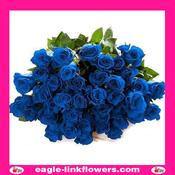 Dyed Roses Blue - 50cm