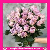 Memory Lane – T-Hybrid Roses - 70cm