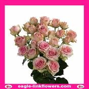 Dinara – Premium Spray Roses - 50cm image