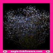 Dyed Gypsophila Blue - 70cm image
