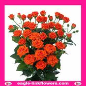 Jezebel – Regular Spray Roses - 50cm image