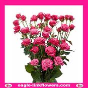 Kylie – Premium Spray Roses - 50cm image