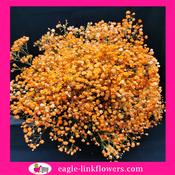 Dyed Gypsophila Orange - 70cm