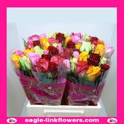 Rainbow Bunches – Intermediate Roses - 40cm image