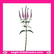 Skyler Splash Pink - 60cm