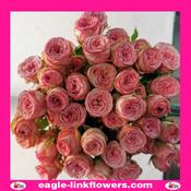 Hawi - Premium Spray Roses - 70cm