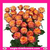 Land of Fire - Premium Spray Roses - 80cm
