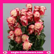 Sweetness – Premium – Premium Roses - 40cm image