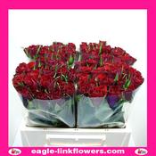 Valentino – Intermediate Roses - 40cm image