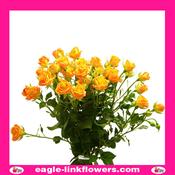Abeba – Regular Spray Roses - 50cm image