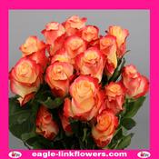 Cabaret – Premium Roses - 40cm image