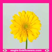 Yellow Gerbera - 40cm