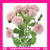Lydia – Regular Spray Roses - 70cm image