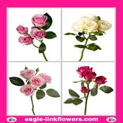 Mix Regular Spray Roses - 50cm image