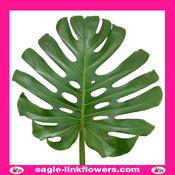 Monstera Leaf - 40cm