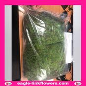 Moss Flat - 40cm
