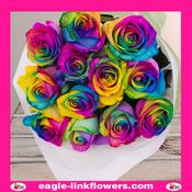 Dyed Roses Rainbow - 50cm