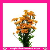 Orange Spray Chrysanthemum (Pompoms) - 70cm