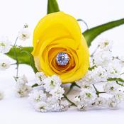 Cubic Zirconia Gold Earrings - Multiple Sizes - 6mm image
