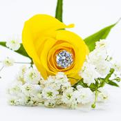 Cubic Zirconia Silver Earrings - Multiple Sizes - 8mm image