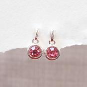 Silver Drop Earrings for Sensitive Ears | 4 Colour Options image