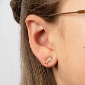 Gold Crystal Fishbone Stud Earrings | Nickel Free Earrings Ireland | Earsense - Earrings for sensitive ears