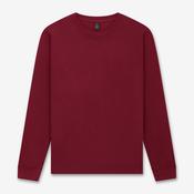Earth Positive Sweatshirt - Cherry Red - L