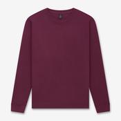 Earth Positive Sweatshirt - Stone Washed Burgundy - 3XL