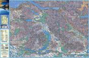 Connemara Mountains Flat Map