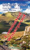 Dingle West Laminated image