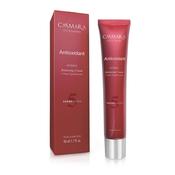 Antioxidant Hydro Balancing Cream image