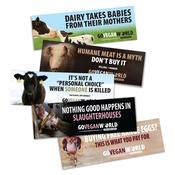 Bumper Stickers
