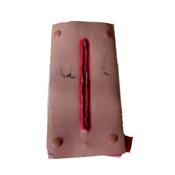 Lacerated Forearm Bleeding Moulage