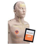 Brayden Pro CPR Manikin image