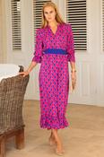 Aspiga Maeve Dress in Blu/Pink image