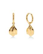 Edblad Petal Hoops Gold image