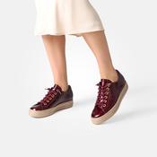 Paul Green 4081 in Wine