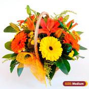 Basket Delight