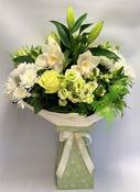 All White Sympathy image